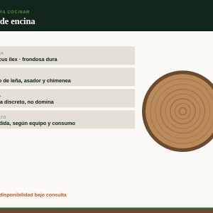 Leña de encina: sección de tronco de encina, madera dura de combustión lenta para horno y asador