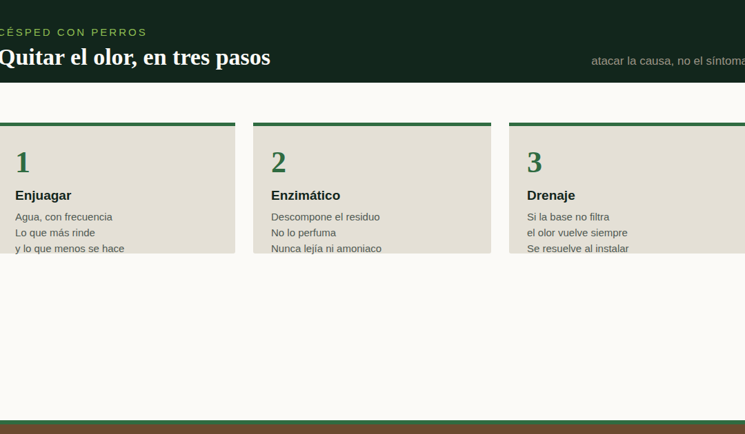 Cómo quitar el olor a orina del césped artificial (y evitar que vuelva)